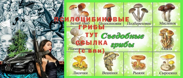 марки nbome Белокуриха