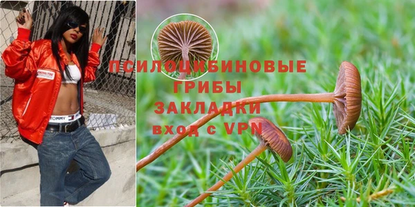 Альфа ПВП Беломорск