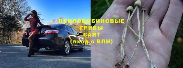 Альфа ПВП Беломорск
