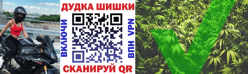 МАРИХУАНА сатива  купить  цена  Сланцы 
